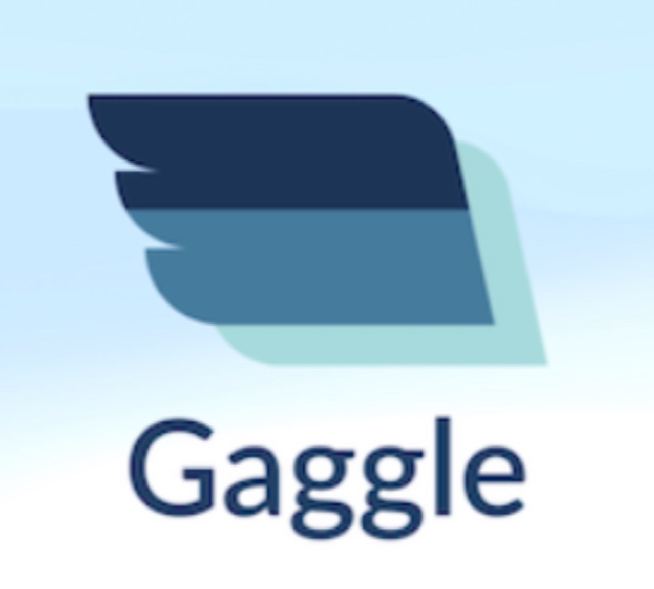 Gaggle Flight Recorder logo