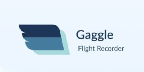 Fly Gaggle logo
